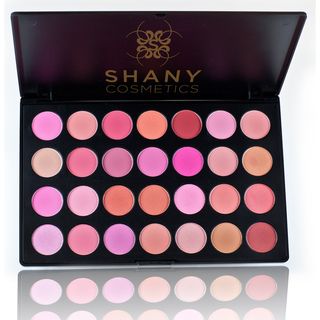 Shany 28 Neutral to Warm Color Eyeshadow and Blush Palette