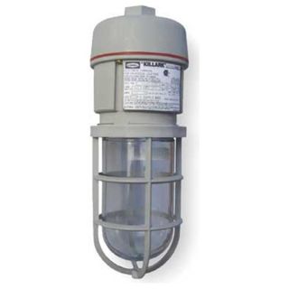 Killark NV2FG42ASG CFL Fixture, With 2PDH1 And 2PDG6