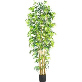 Silk Bambusa 7 foot Tree Today $160.99 4.6 (7 reviews)
