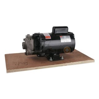 Dayton 2ZWT8 Pump, Centrifugal, 1/3 HP, 1 Ph, 115/230V