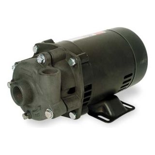 Dayton 4TE55 Centrifugal Pump, 1 1/2 HP, 3 Phase, ODP