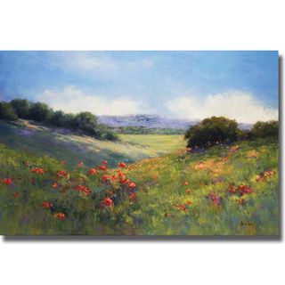 Alice Weil Poppies with a View Canvas Art