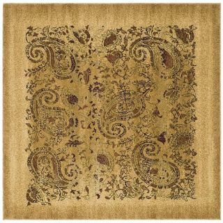 Safavieh Oval, Square, & Round Area Rugs from Buy